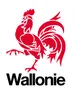 Regio WalloniΓ«